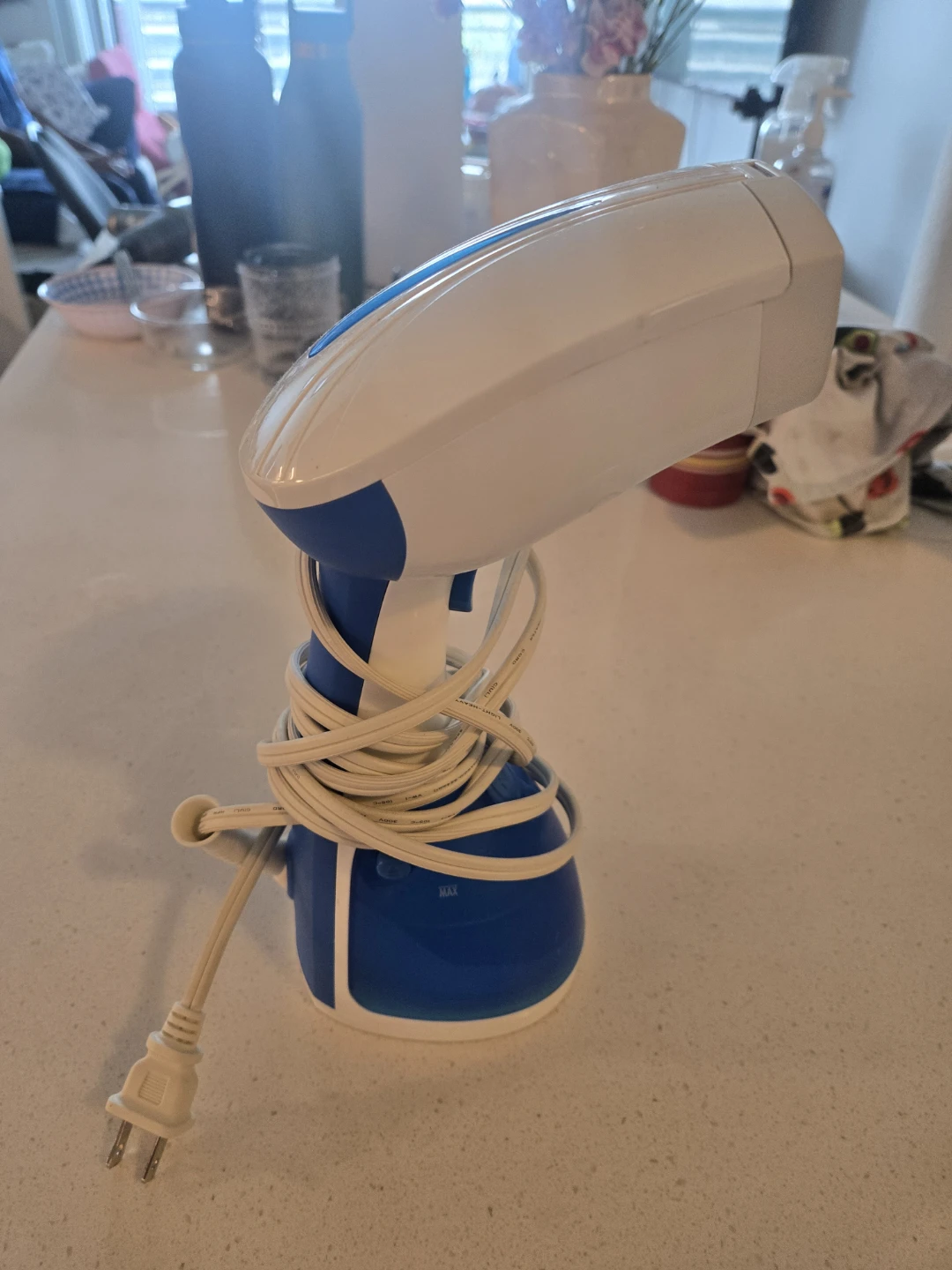 Hamilton Beach Handheld Steamer