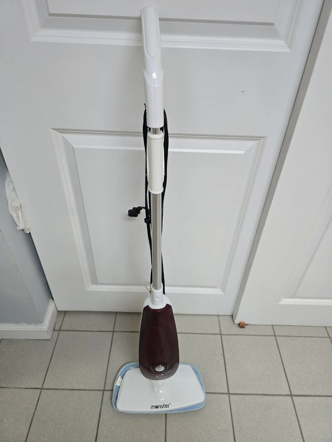 Euroflex Monster Steam Mop