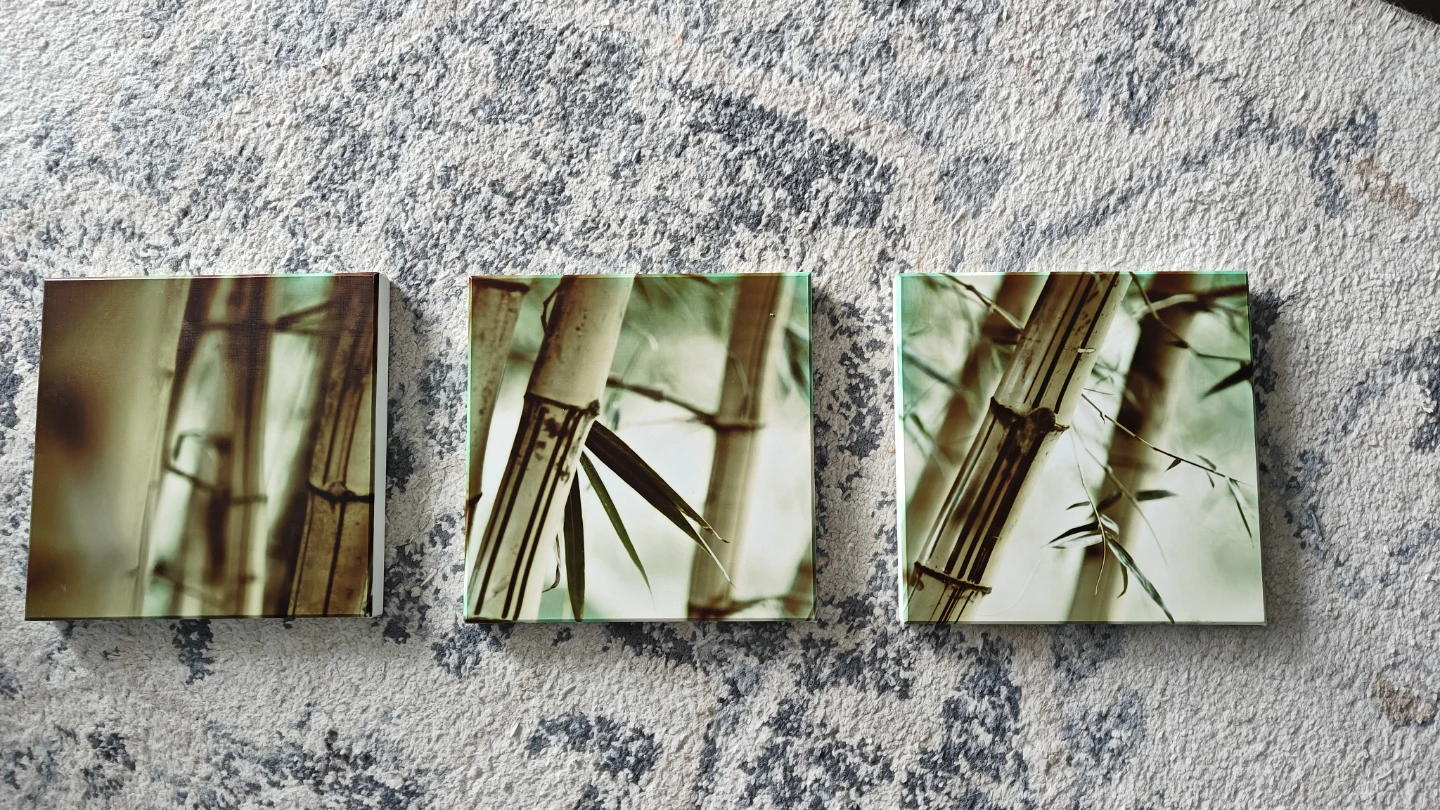 Bamboo wall art