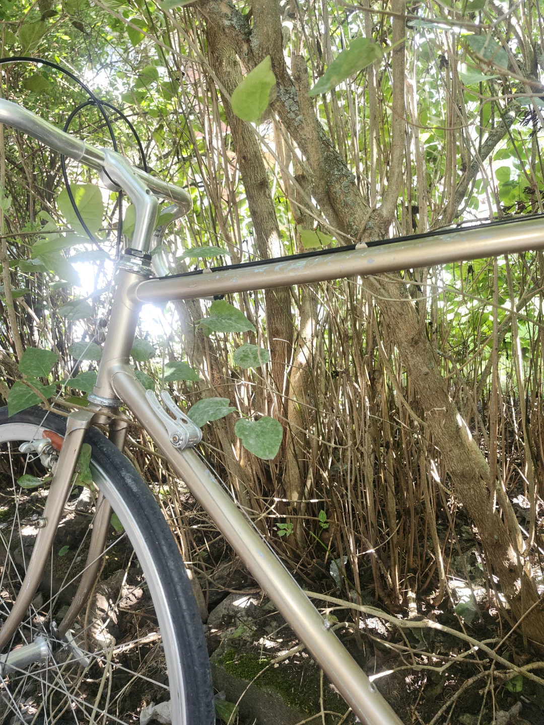 Vintage norco road Bike - photo 5