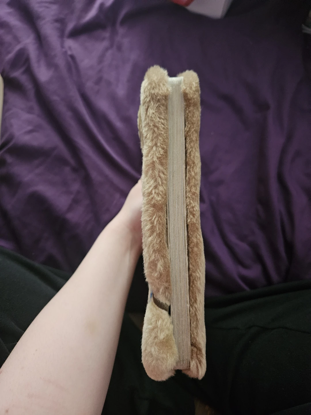 Tiny Bear's Bible - photo 2