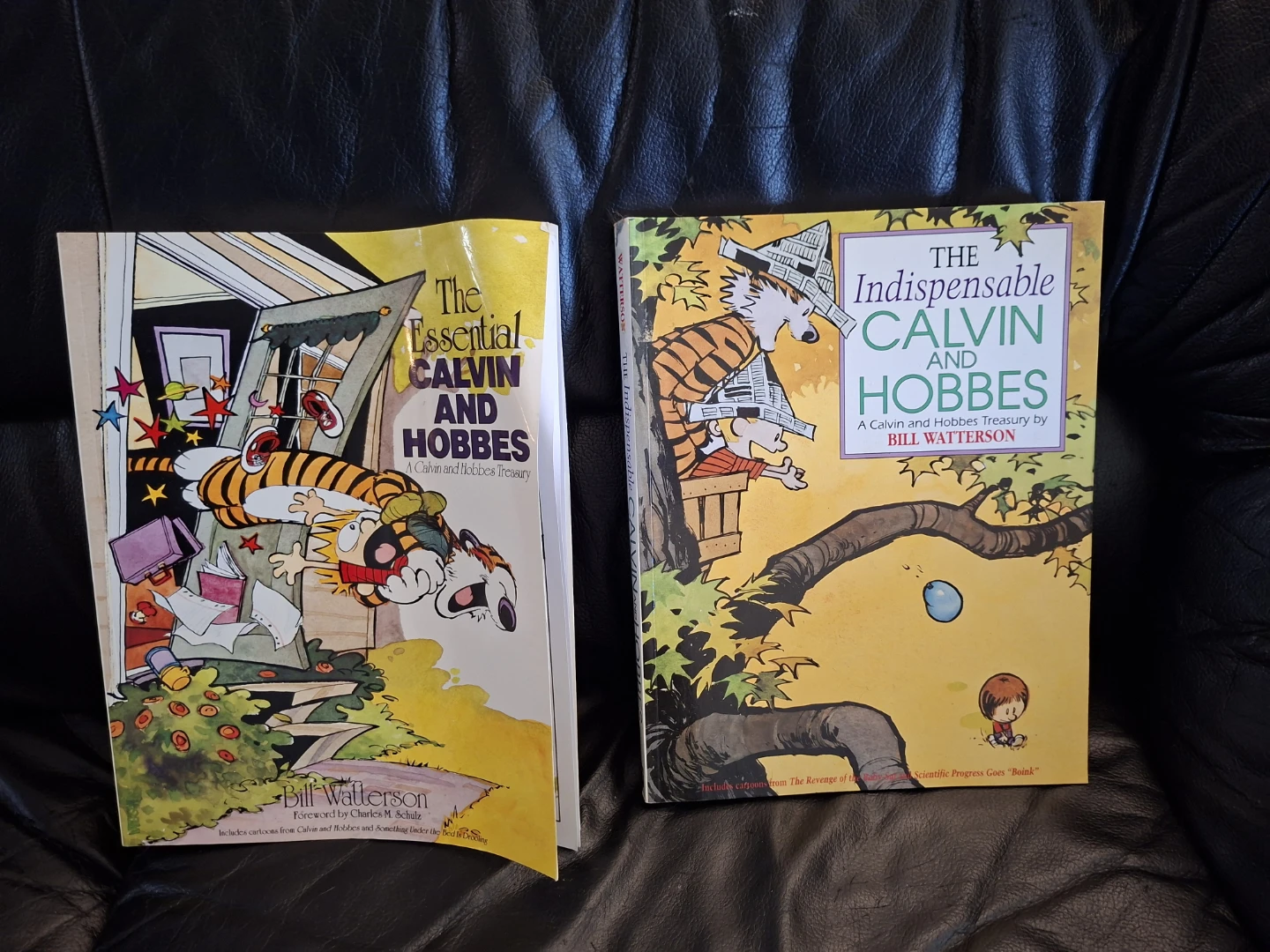 Calvin and Hobbes & The Indispensable Calvin and Hobbes Books