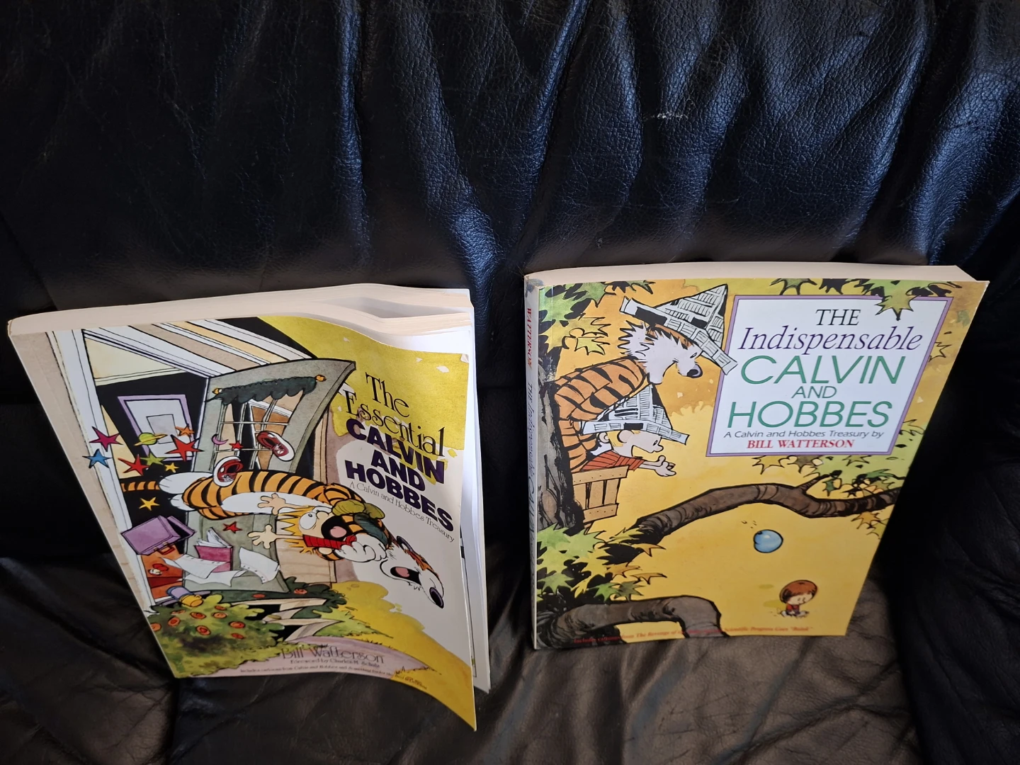 Calvin and Hobbes & The Indispensable Calvin and Hobbes Books - photo 2