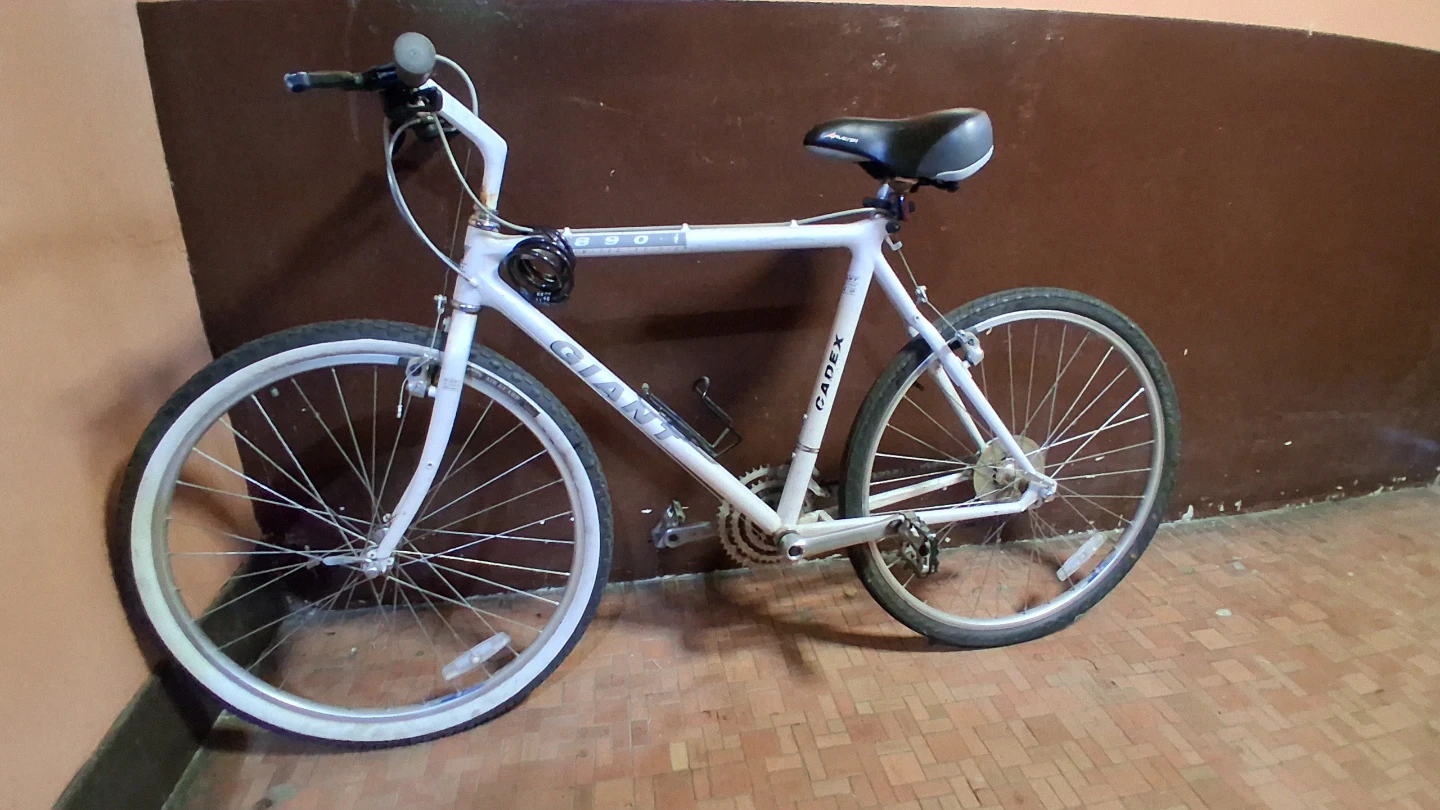 Giant Cadex 890-1 Road Bike