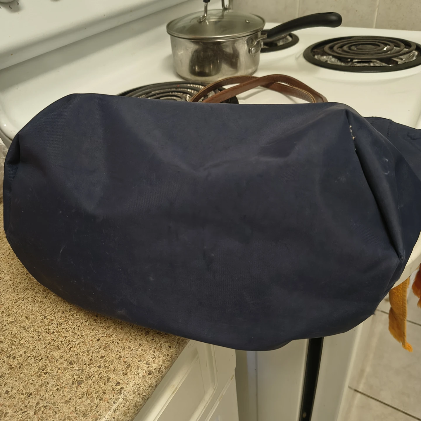 Longchamp Paris Nylon Tote Bag - photo 5