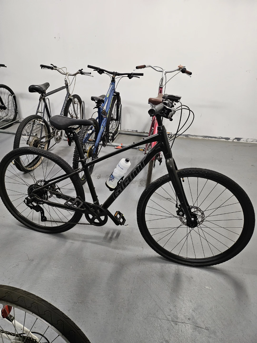 Giant Cypress Bike