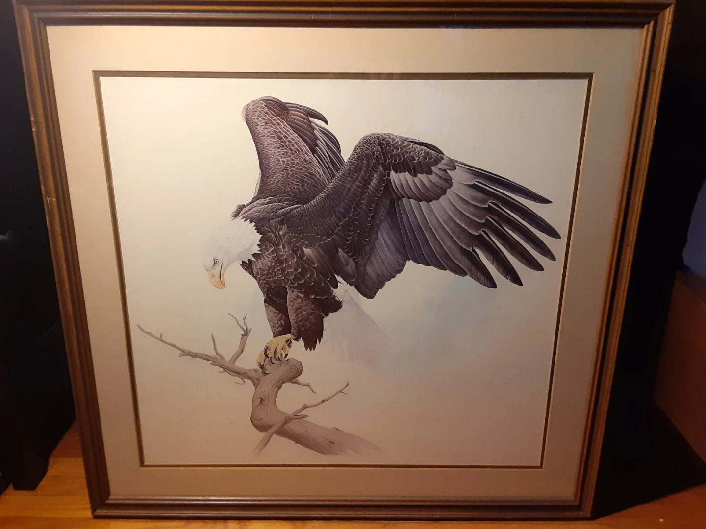Glen Loates - Framed Bald Eagle Watercolour Print - Large