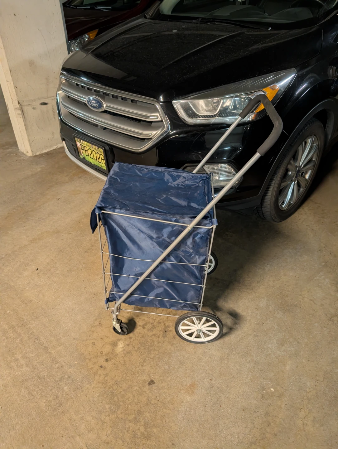 Blue Rolling Heavy Duty Covered Shopping Cart