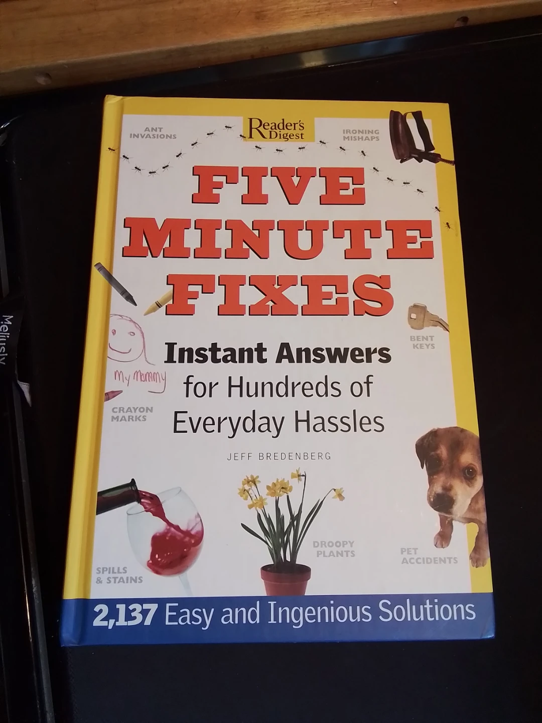 Reader's Digest Complete Do-it-yourself Manual - photo 3