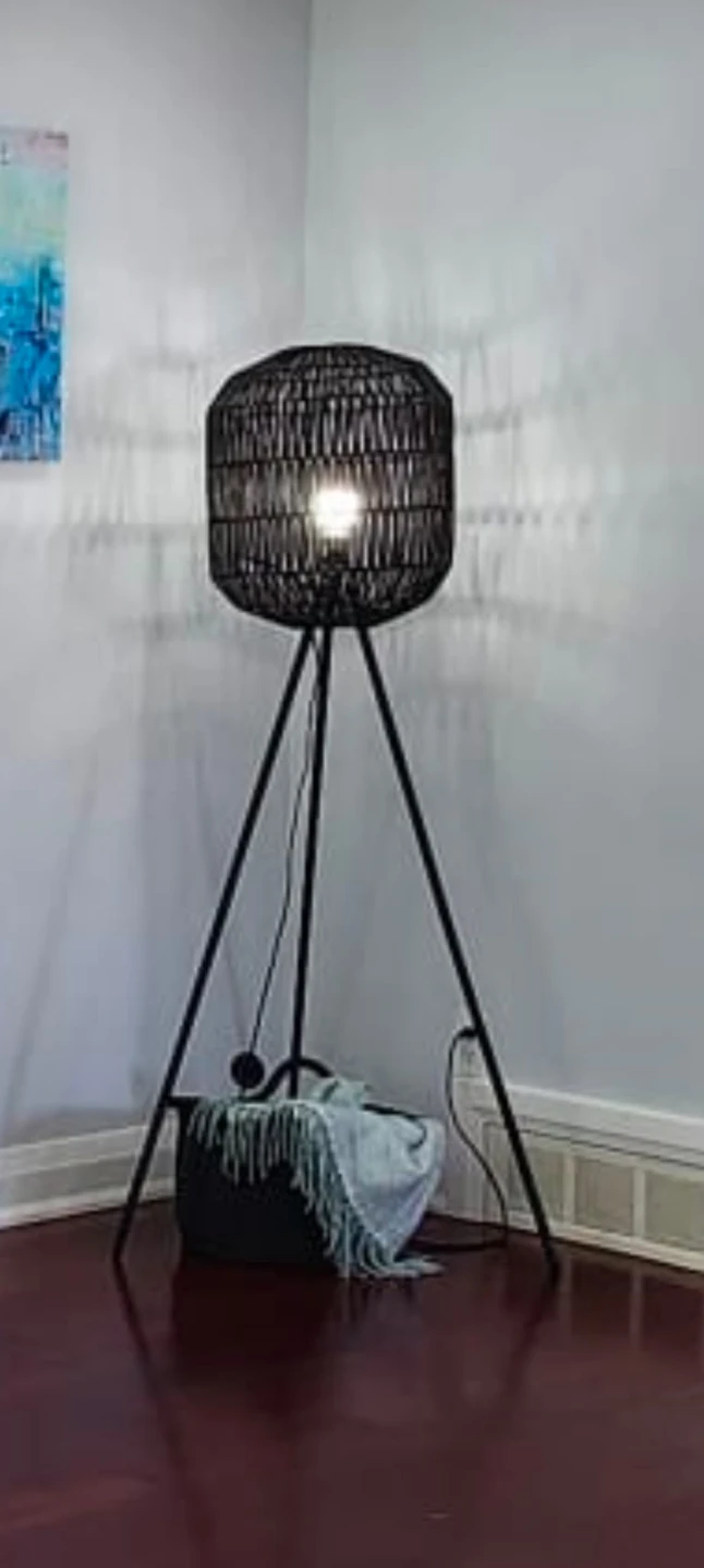 Urban Barn Loki Floor Lamp - Black