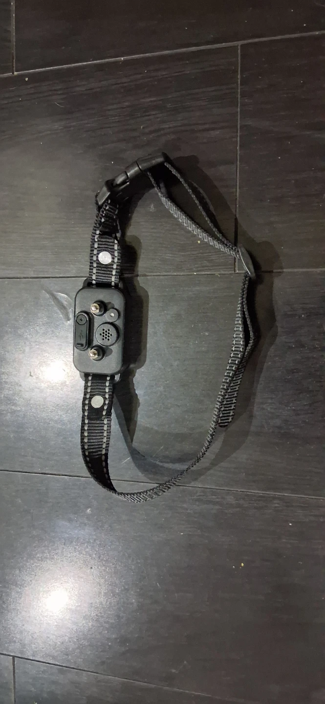 Dog Training Collar with Sensitivity Setting - photo 2