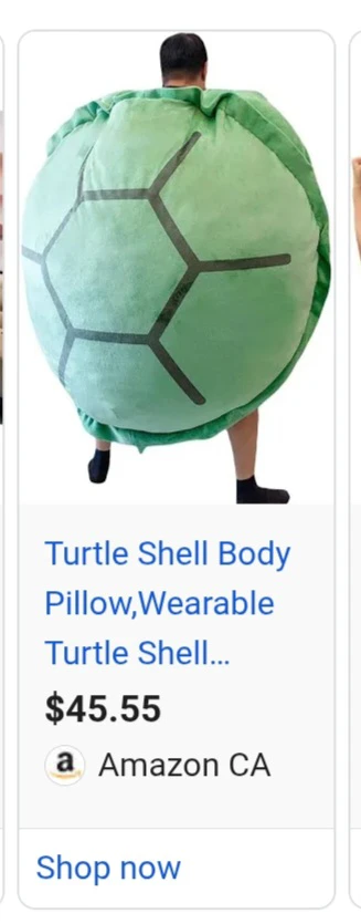 Turtle shell pilow