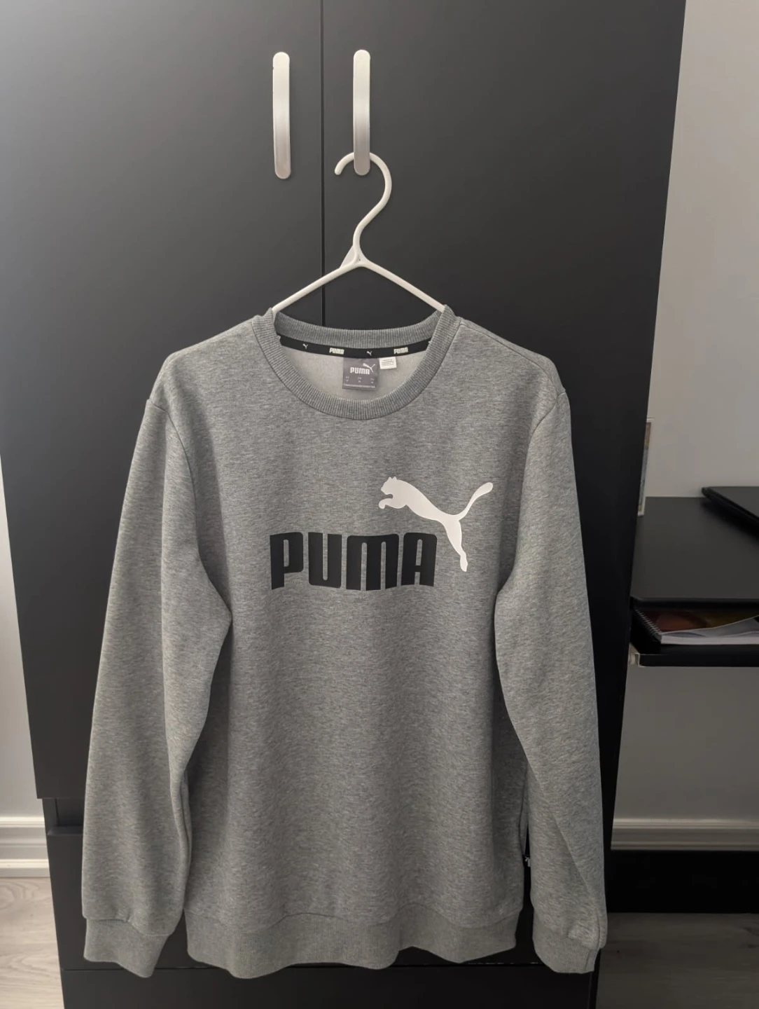 Hoodie / sweatshirt  for men
