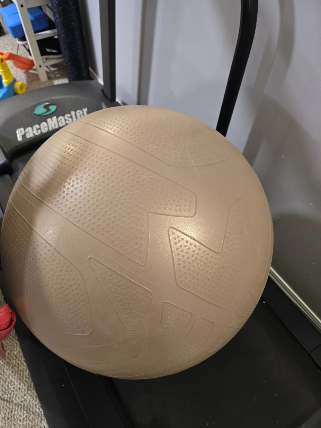 Everlast FIT Pro Grip Fitness Ball 65 cm - Burst-Resistant