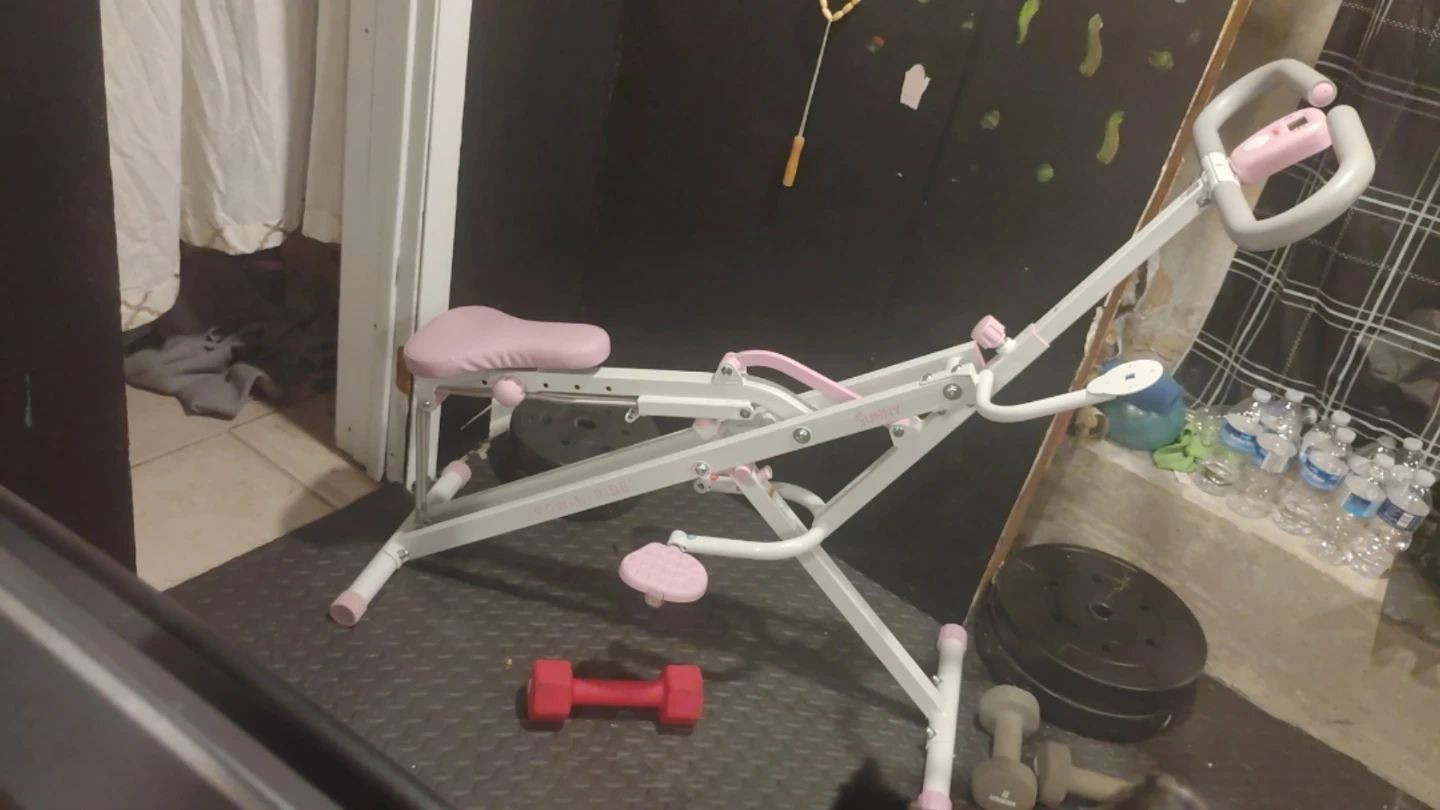 Sunny Health & Fitness Squat Assist Row-n-Ride Machine