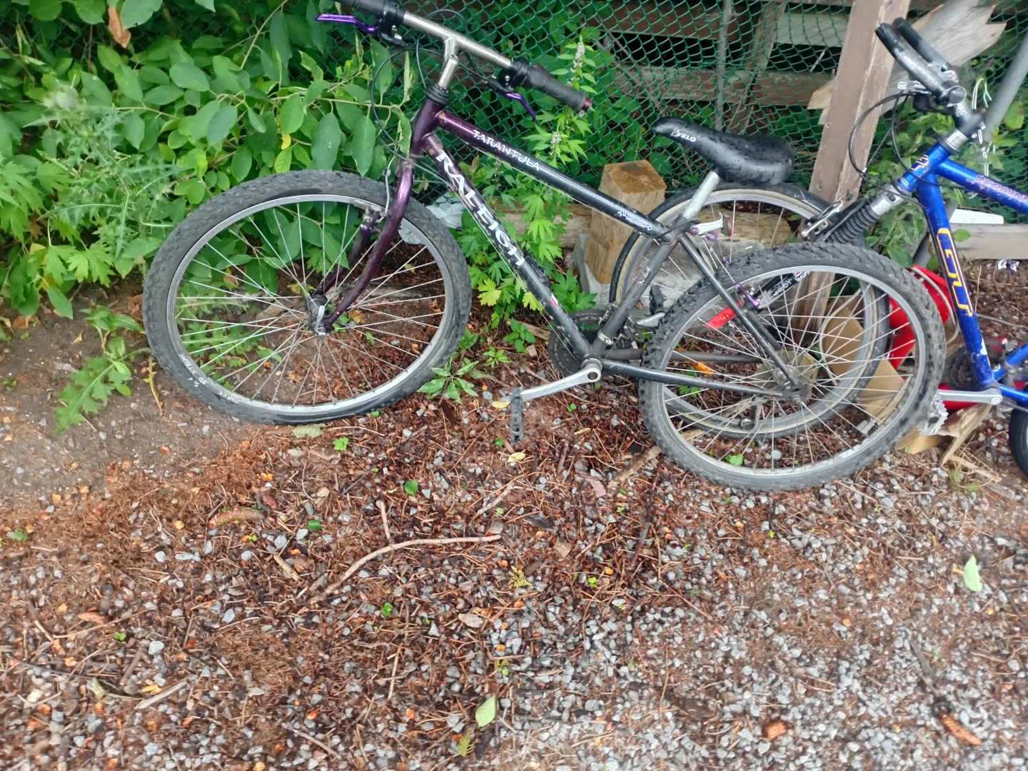 Raleigh Tarantula Mountain Bike
