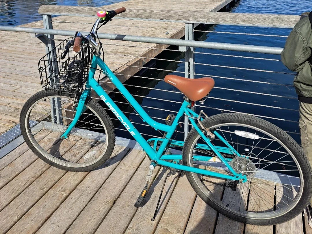 Supercycle Pathway Teal Cruiser Bike