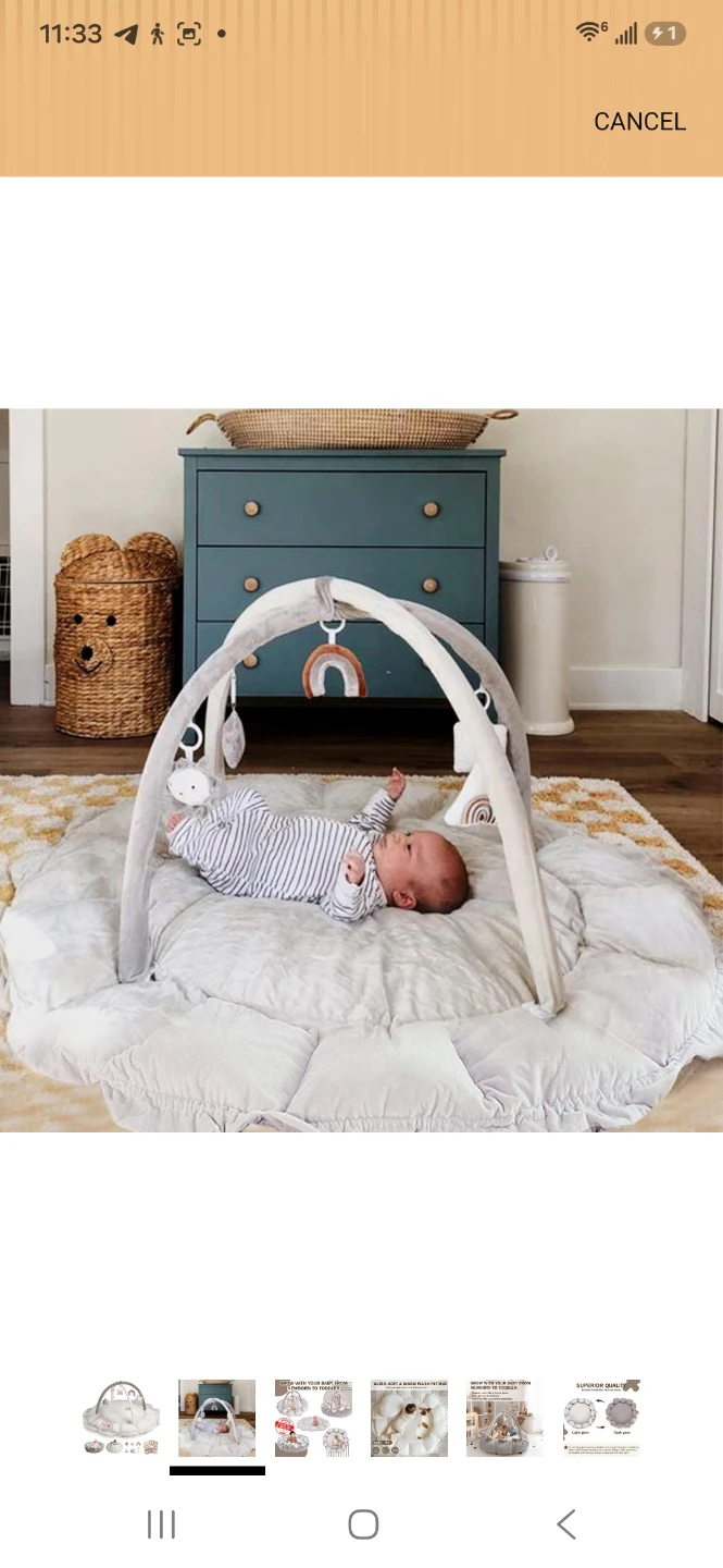 Baby Play Mat Gym with Arch and Toys