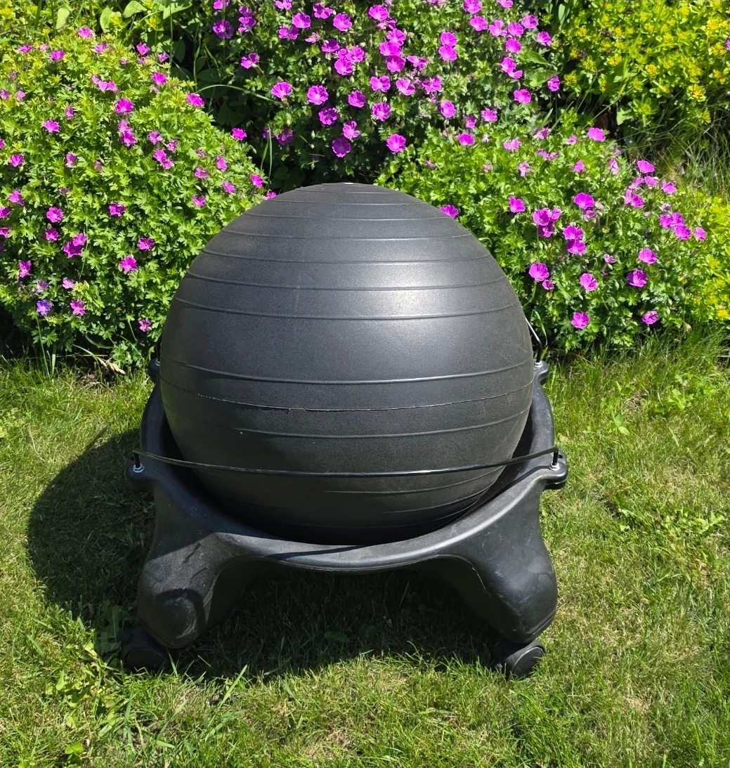 Black Exercise Ball with Stand