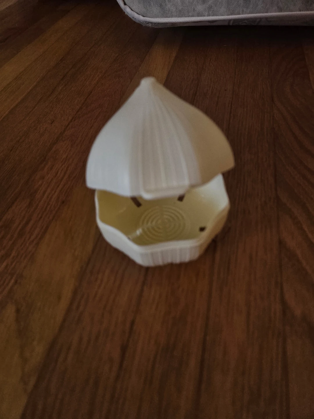 Garlic Keeper Container