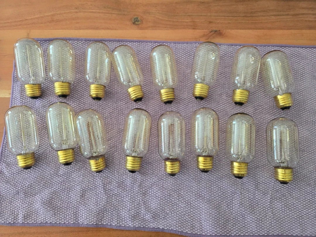 Set of 16 Vintage Edison T14 Bulbs (40W E26 Base)