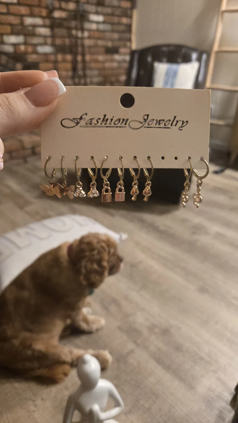 Fashion Jewelry Earrings Set