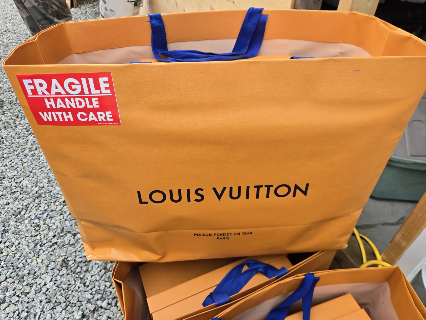 Louis Vuitton Shopping Bags with Boxes