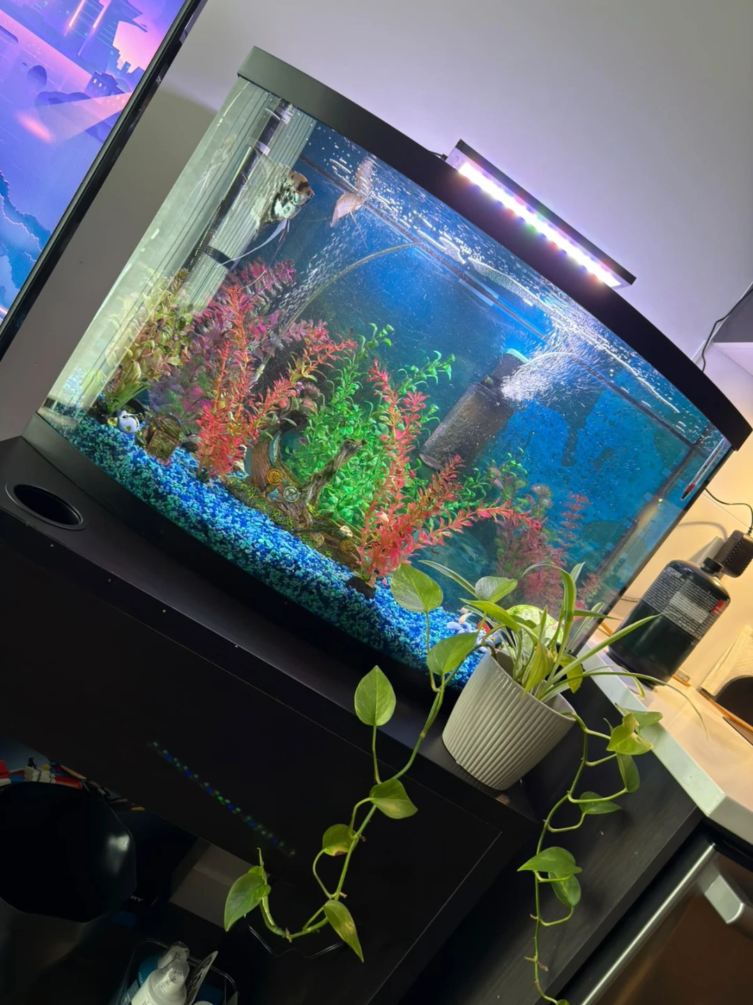 Aquarium