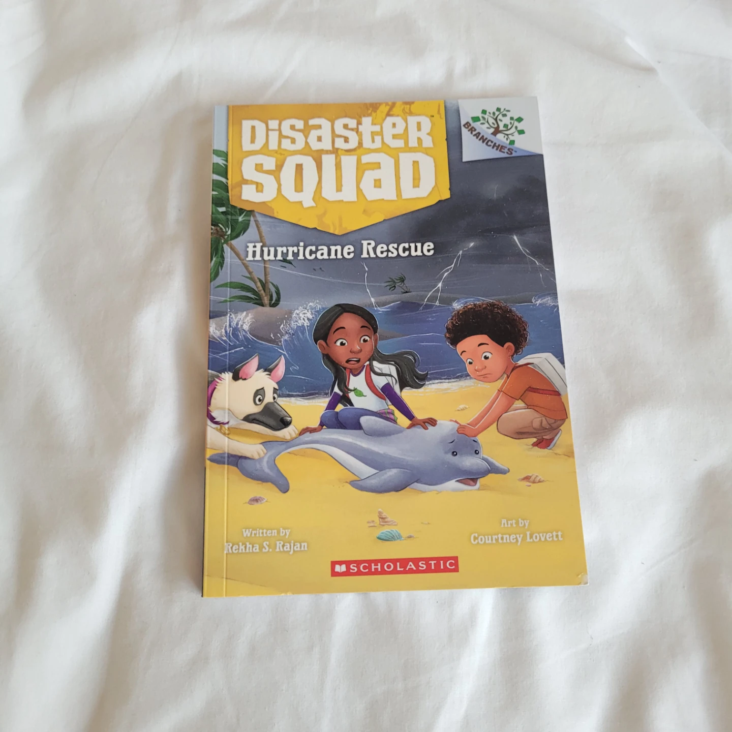 Disaster Squad: Hurricane Rescue Book by Scholastic