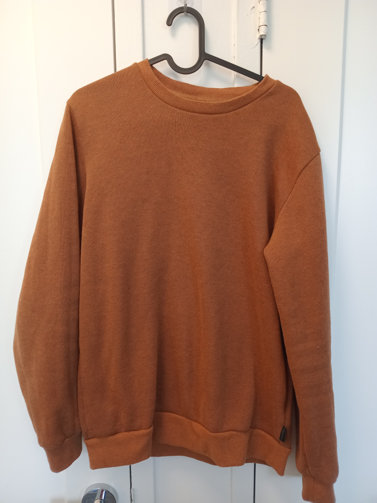 Brown Crewneck Sweatshirt