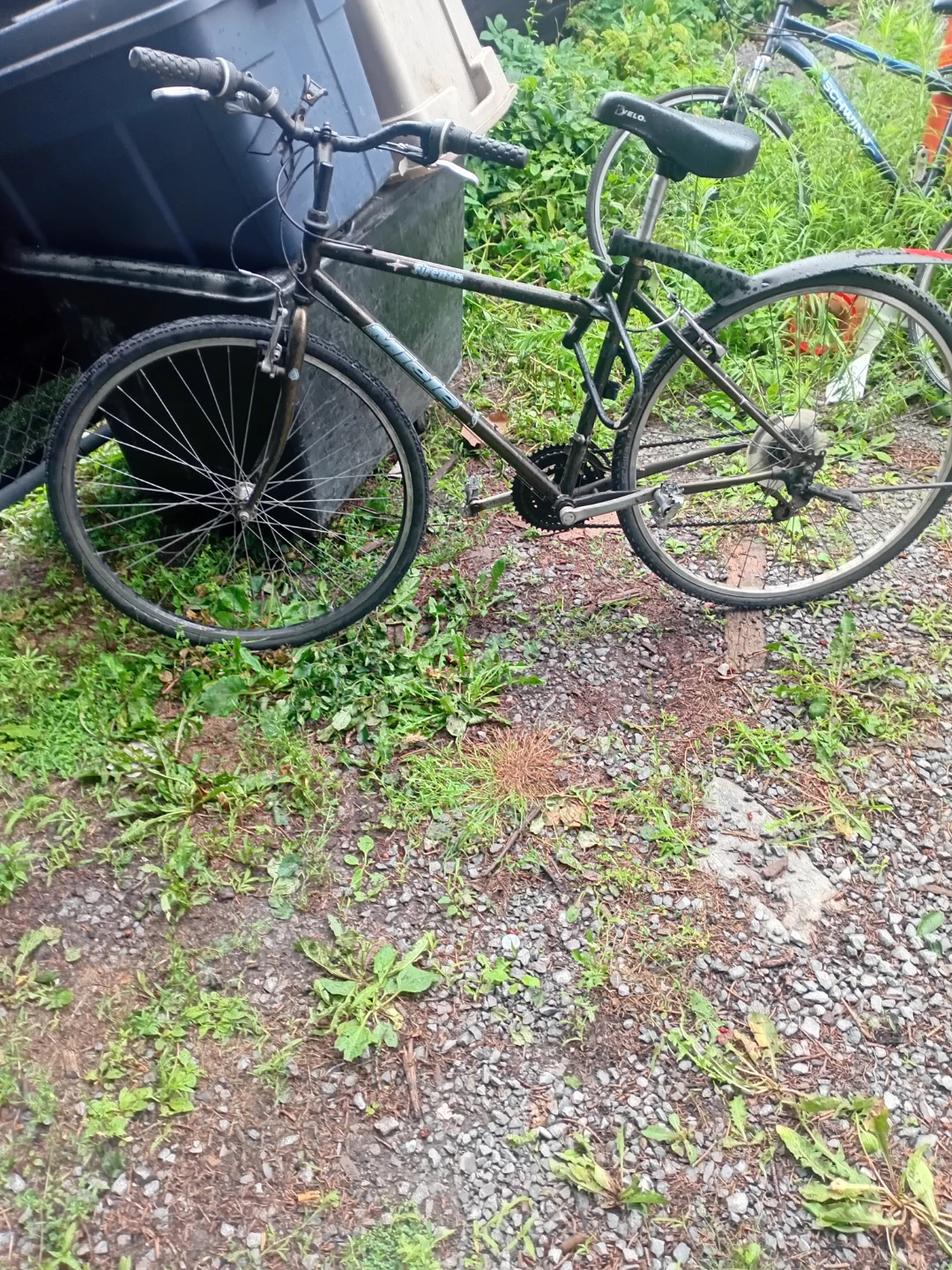 Miele Mountain Bike