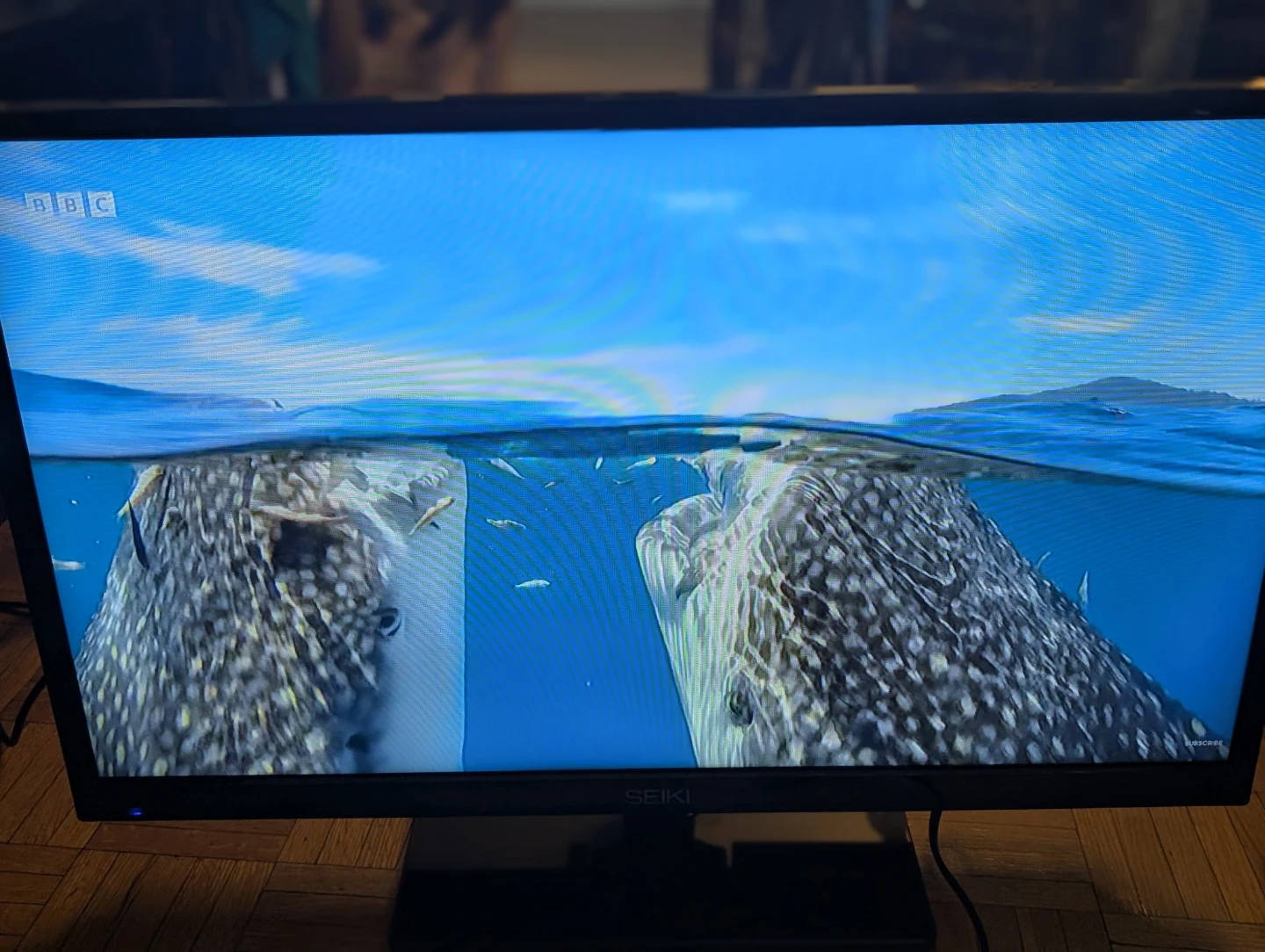 Seiki 29" TV (720p) – Works Great (No Remote) - photo 4