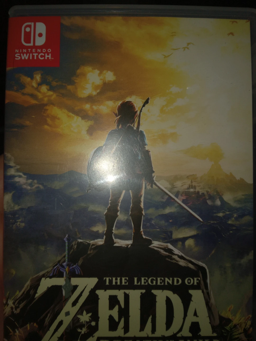 The Legend of Zelda: Breath of the Wild Nintendo Switch Game