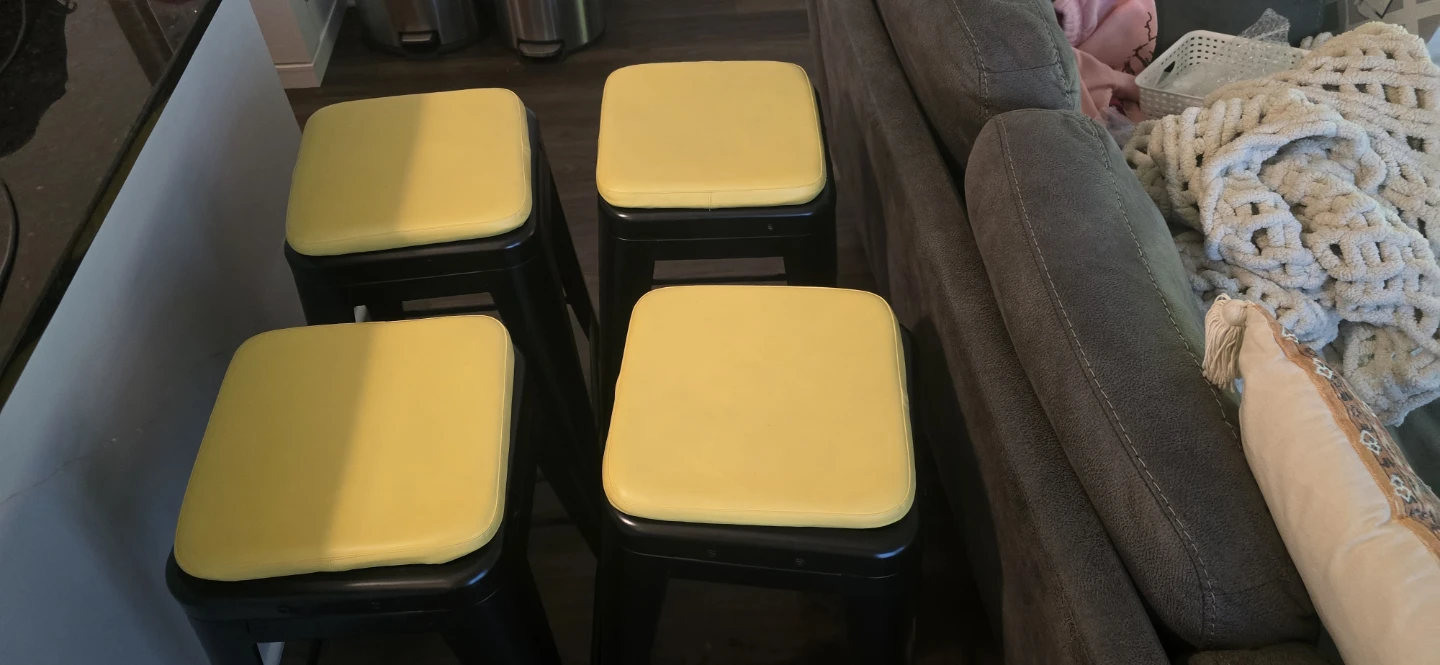 BUYUE Home Select 4-Pack Bar Stool Cushions - photo 4