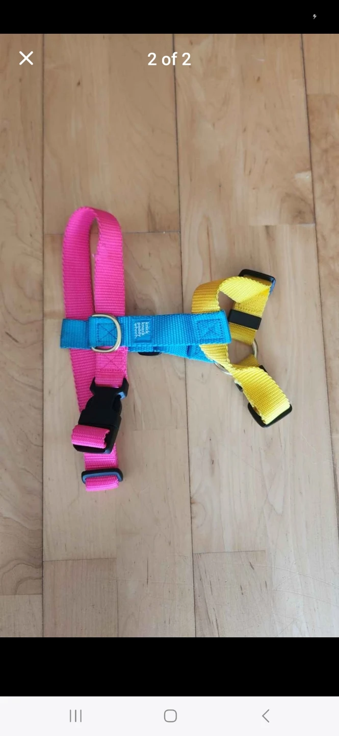 Knick Knack Paddy Whack Rainbow Julibee Dog Harness (Brand New) - photo 2