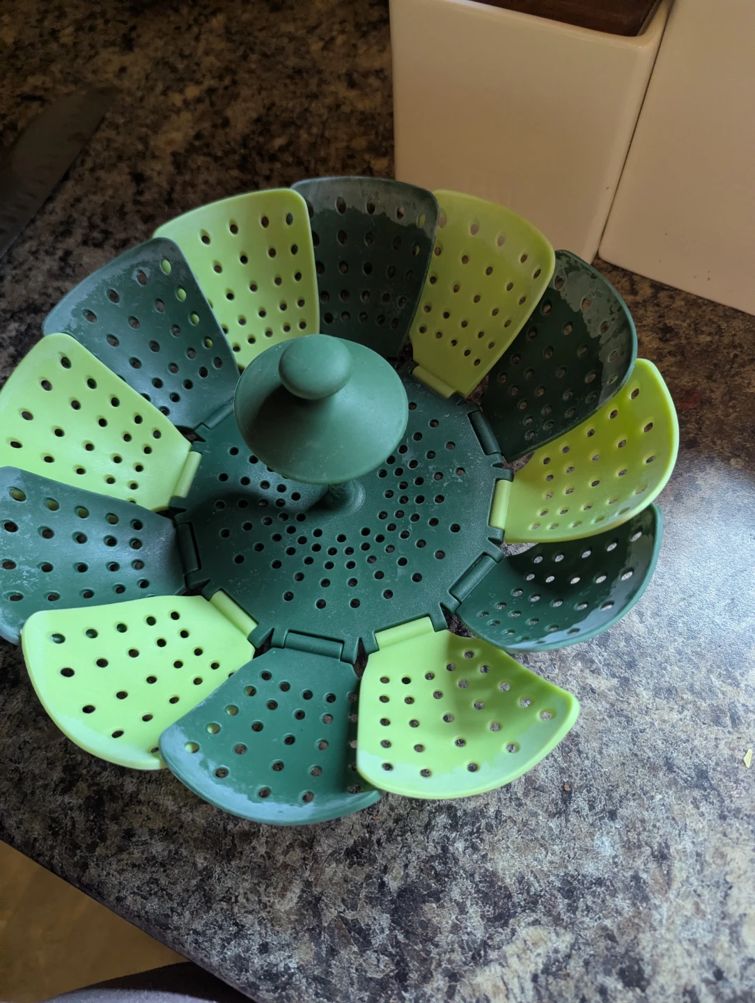 Collapsible Steamer Basket