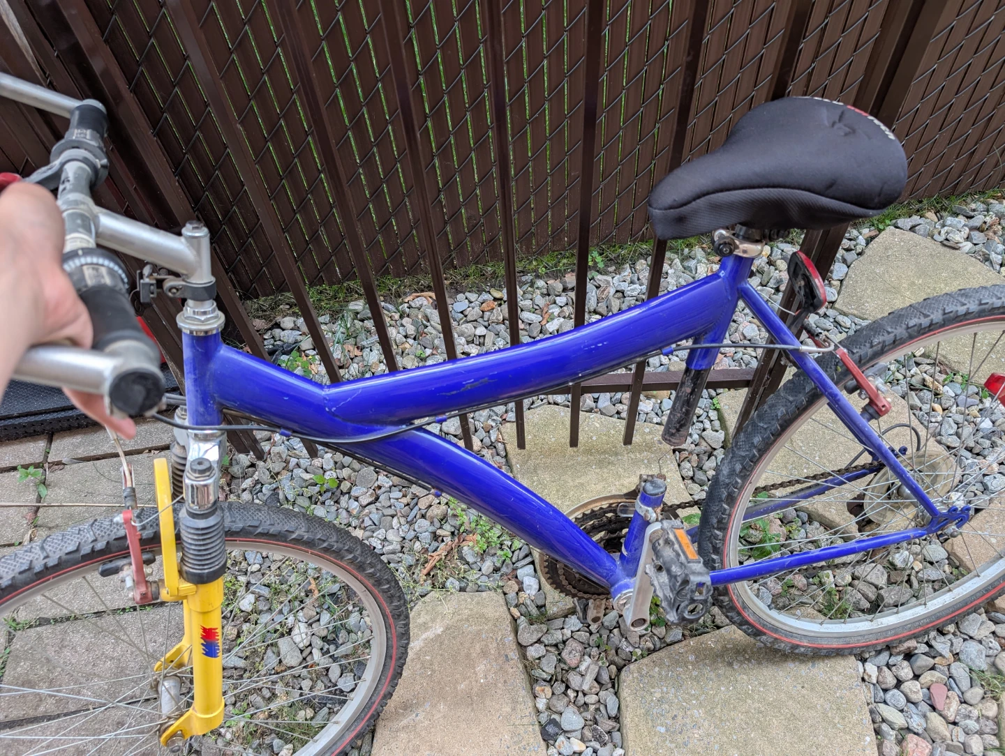 Blue Mountain Bike
