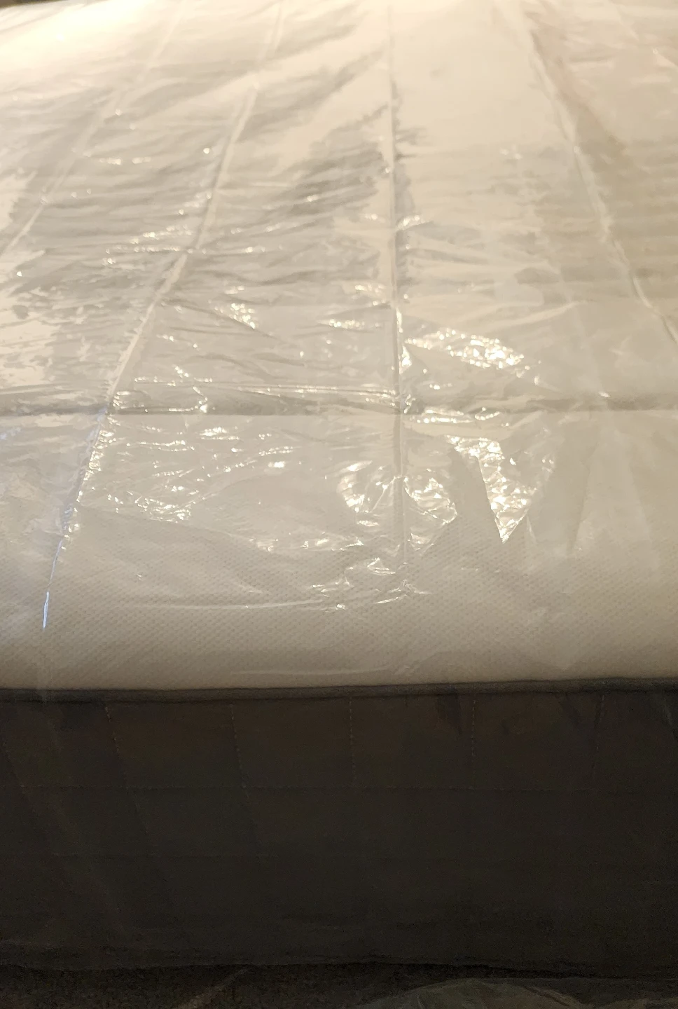 Super Soft Plush IKEA Haugsvar Queen Mattress Like New