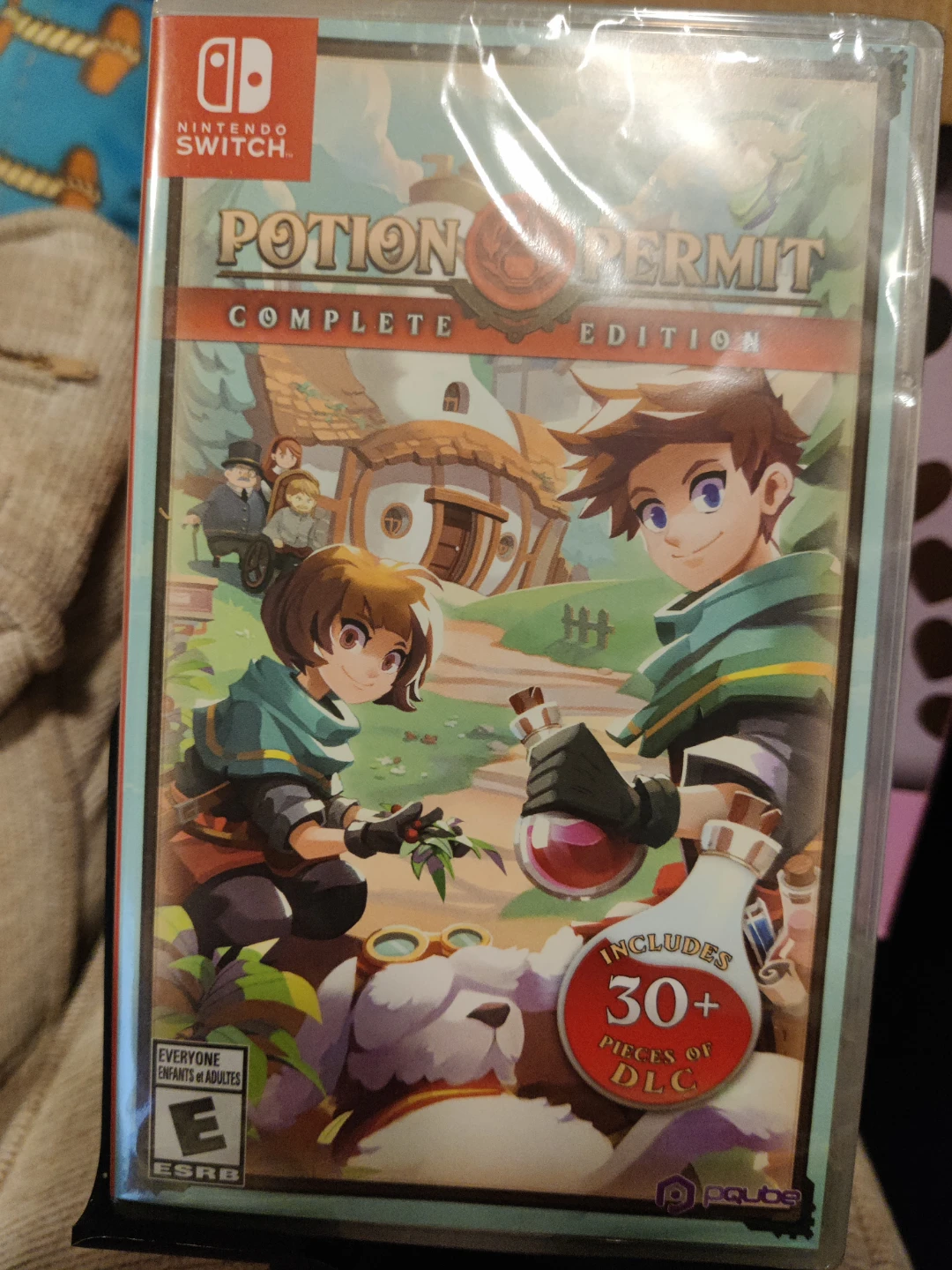 Nintendo Switch Game - Permit Edition