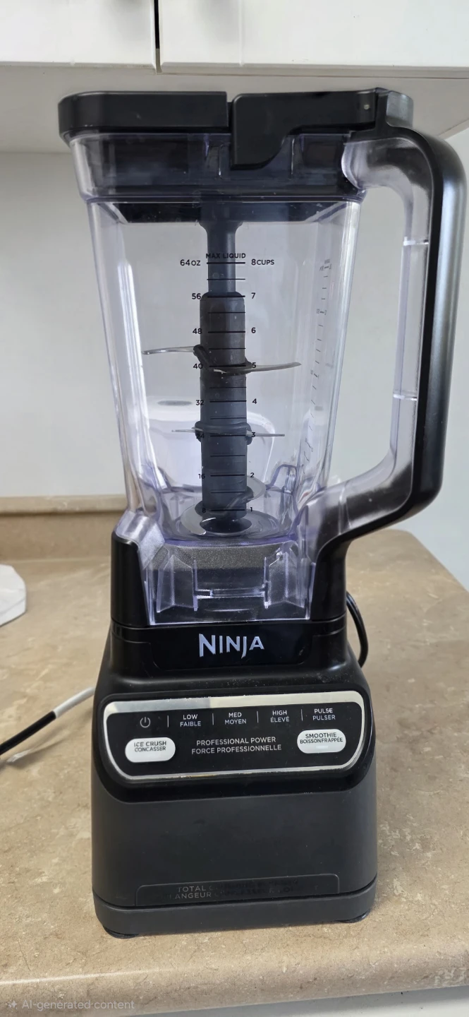 Ninja Professional Power Blender