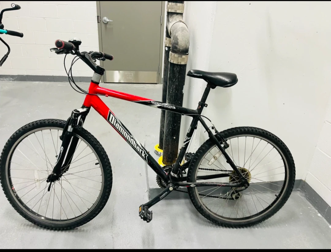 Diamondback Mountain Bike – Large Frame – Mint Condition