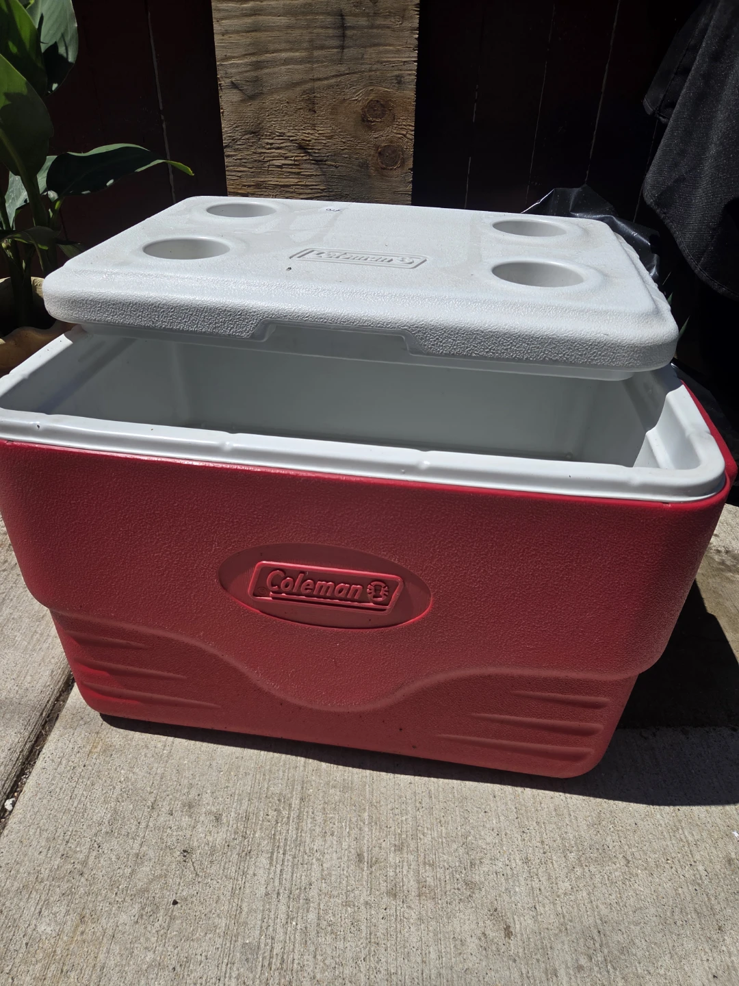 Coleman Cooler with Cup Holders