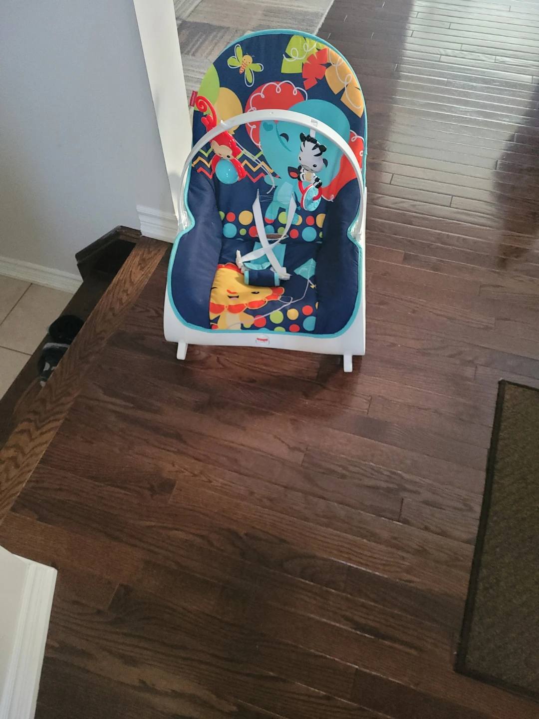 Fisher-Price Baby Bouncer Seat