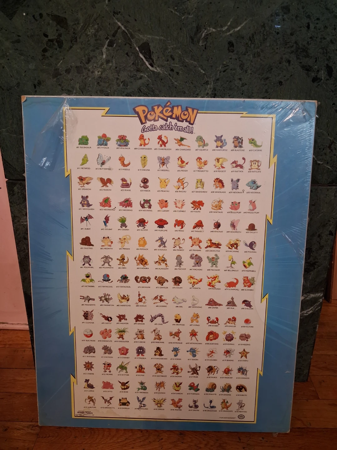 Pokémon Poster 1998