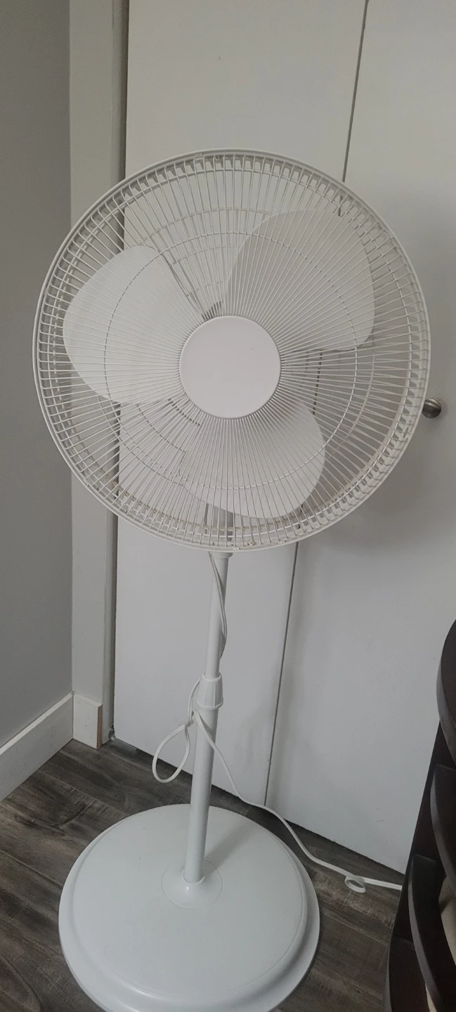 White Pedestal Fan