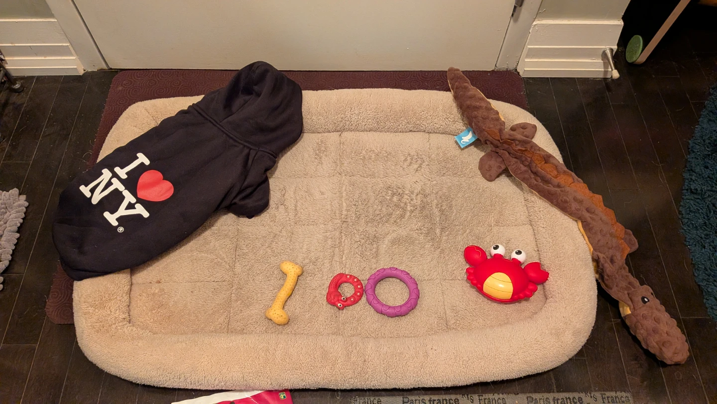 Assorted Dog Bed, Bowls, Pads, Coat & Toys Bundle - photo 2