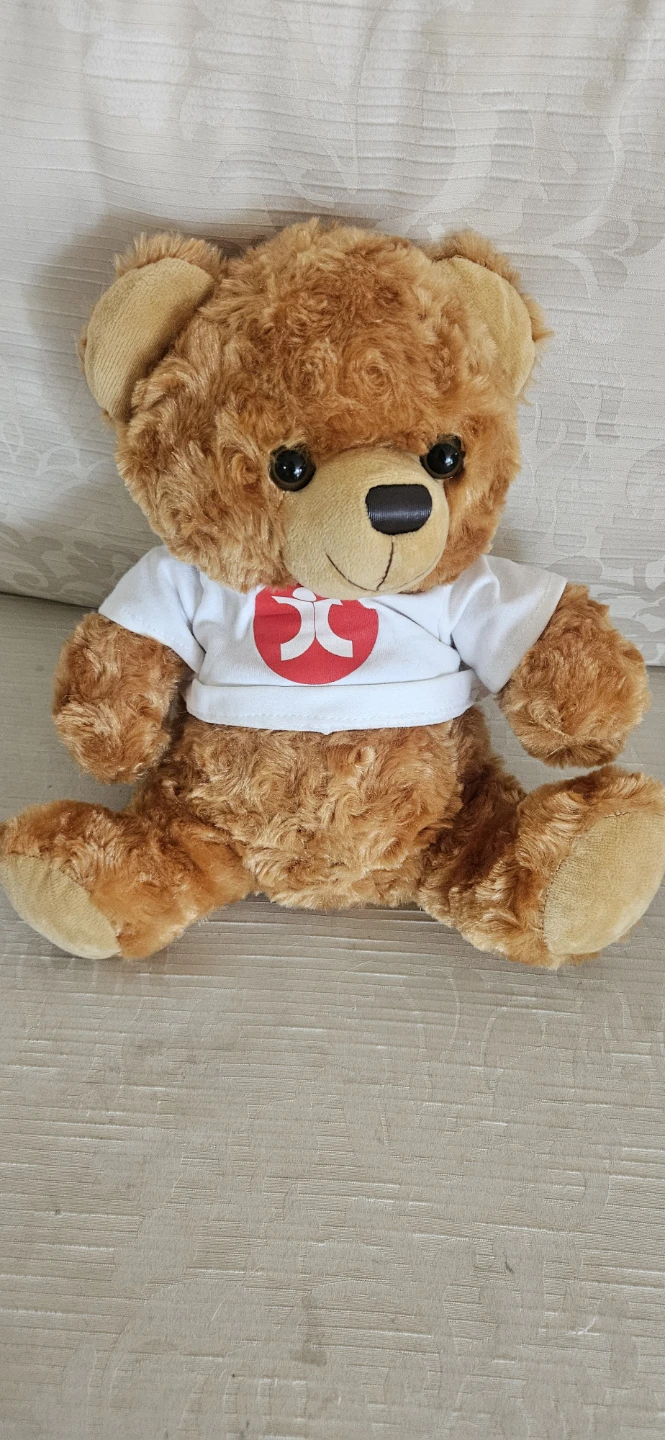 Human Concern Teddy Bear