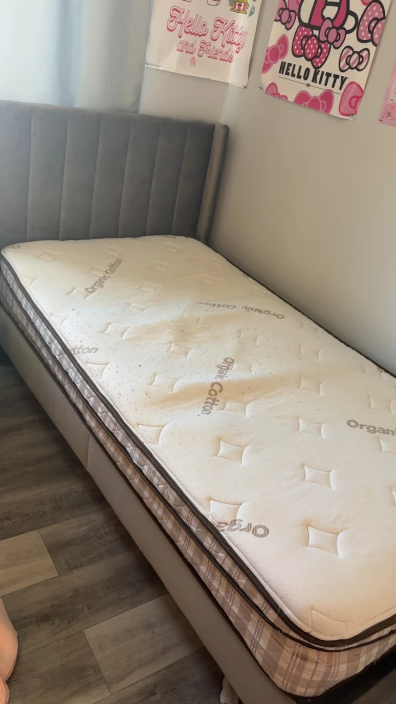 Organic Cotton Twin Mattress