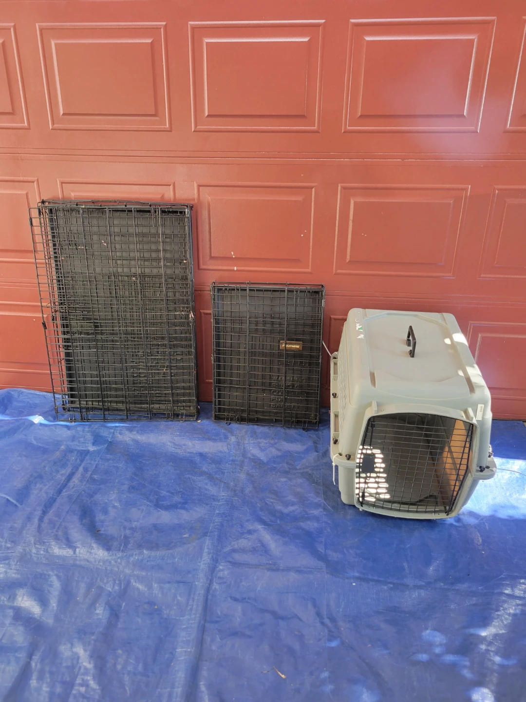 Petmate Dog Crate and 2 Wire Crates - photo 2