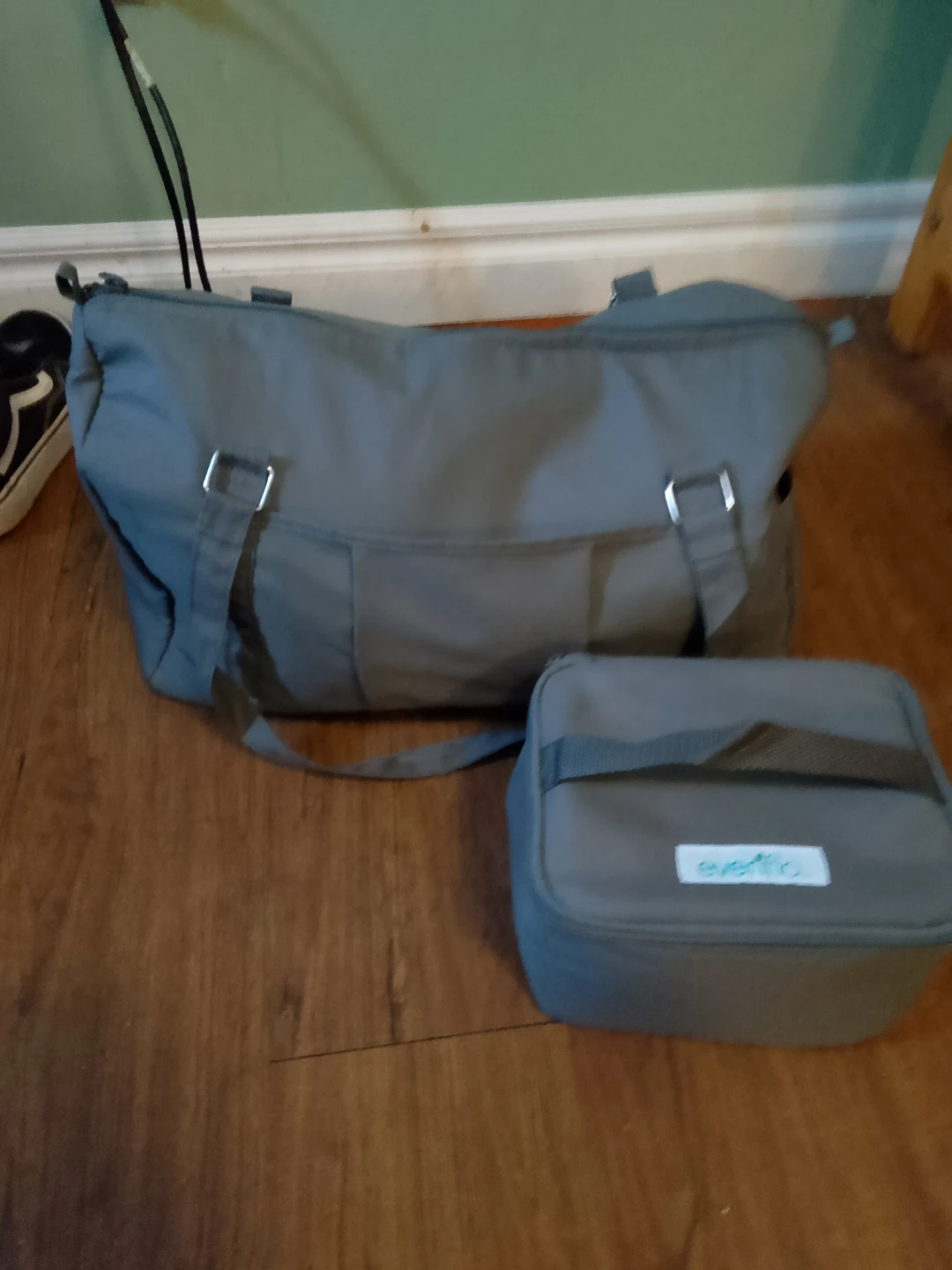 Evenflo Breast Milk Cooler Bag Set - photo 2